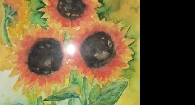 Galerie 1.17  45 x 55  3 Sonnenblumen .JPG anzeigen.