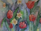 Galerie 1.32 45 X 65 Tulpenfeld.JPG anzeigen.