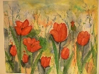 Galerie 1.42 50 X 60 Mohnblumen im Feld.JPG anzeigen.